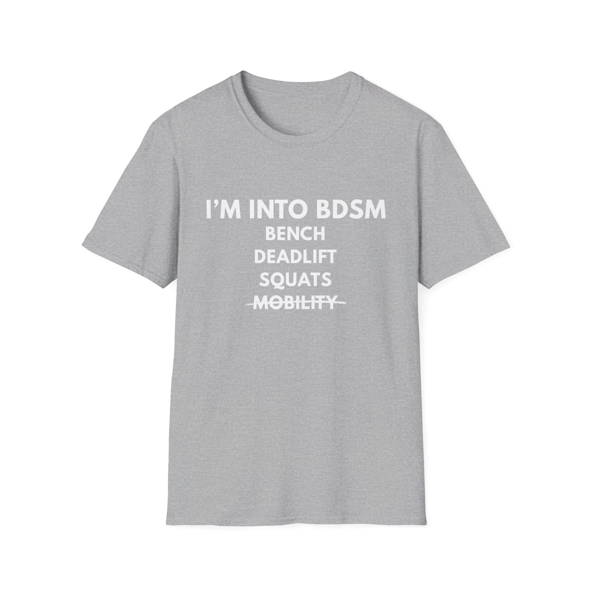 IM INTO BDSM T-SHIRT